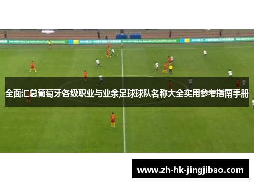 全面汇总葡萄牙各级职业与业余足球球队名称大全实用参考指南手册