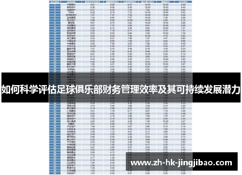 如何科学评估足球俱乐部财务管理效率及其可持续发展潜力 如何科学评估足球俱乐部财务管理效率及其可持续发展潜力