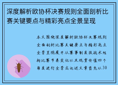 深度解析欧协杯决赛规则全面剖析比赛关键要点与精彩亮点全景呈现 深度解析欧协杯决赛规则全面剖析比赛关键要点与精彩亮点全景呈现
